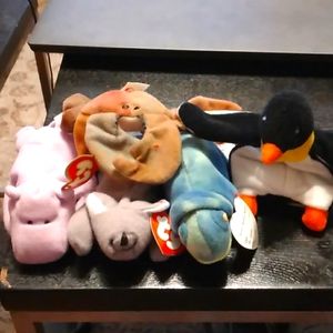 5 Ty Teenie Beanies